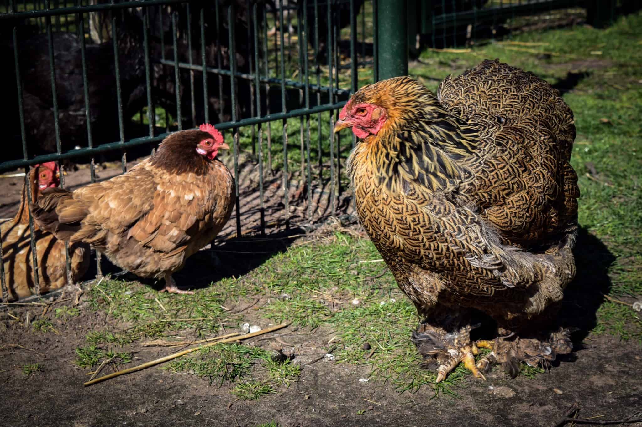 5C16CA3B-16EC-4EA8-8015-0100DCB0C605