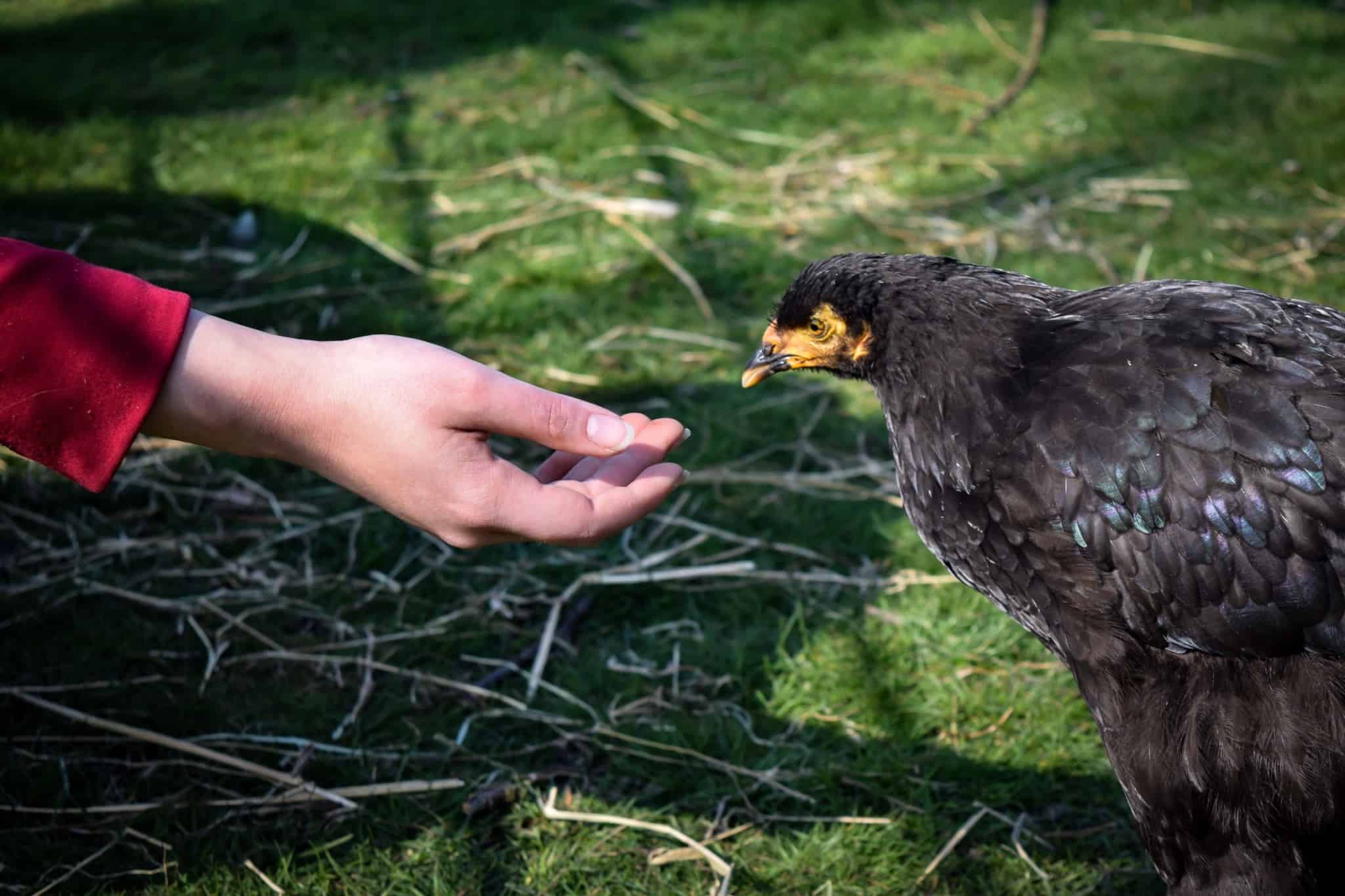 B33B3218-91BD-4BA2-B8D8-FBC84D5E3B08