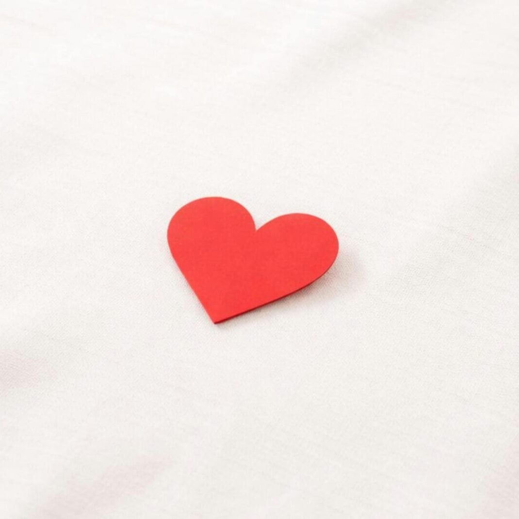 pexels-marcello-socket-1095130121-36156814